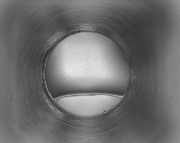 X0000078030349200610271048