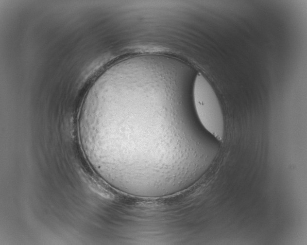 X0000078030351200610271048