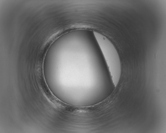 X0000078030352200610271048