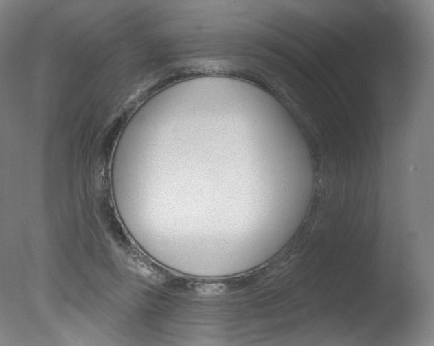 X0000078030355200610271048