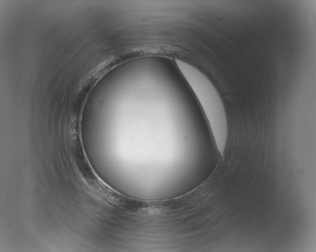 X0000078030356200610271048