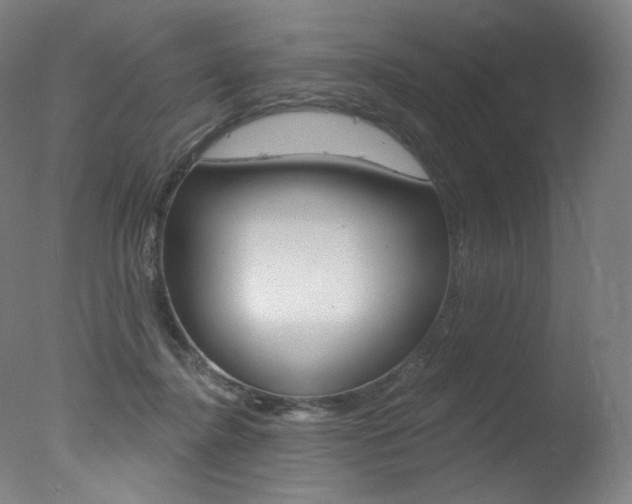 X0000078030364200610271048