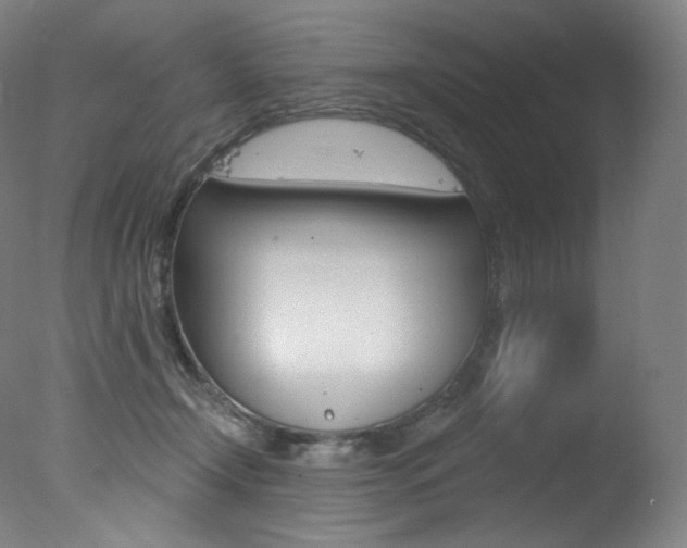X0000078030366200610271048