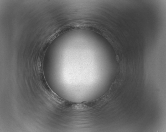X0000078030372200610271048