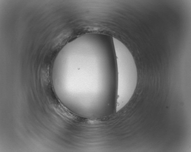 X0000078030376200610271048