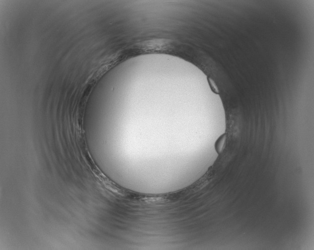 X0000078030377200610271048