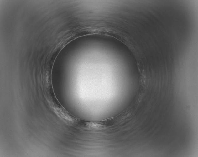 X0000078030380200610271048