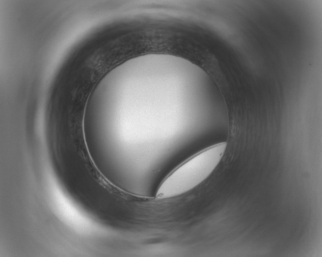 X0000078030383200610271048