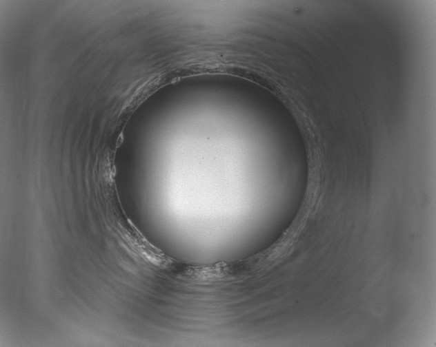 X0000078030384200610271048