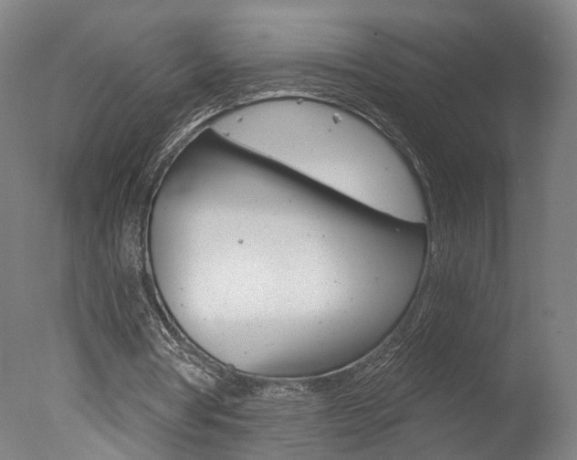 X0000078030386200610271048