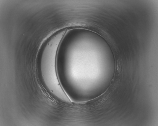 X0000078030388200610271048