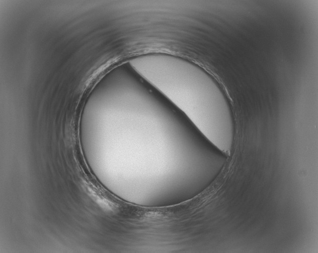 X0000078030390200610271048