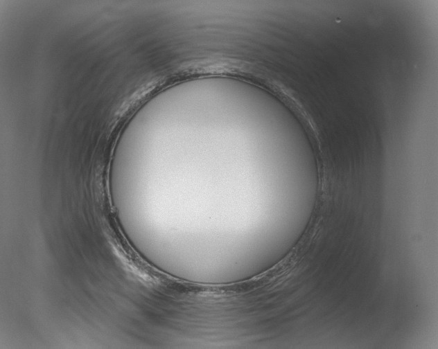 X0000078030394200610271047