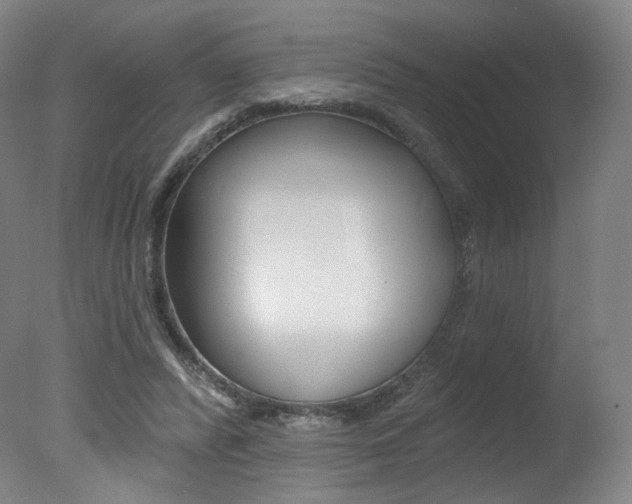 X0000078030400200610271047