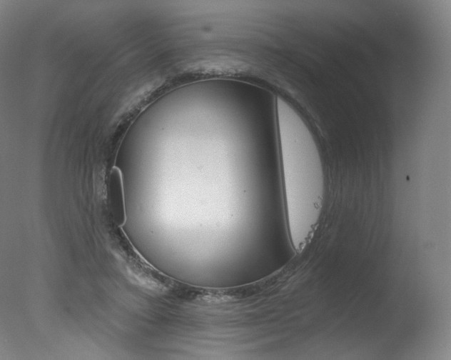 X0000078030403200610271047