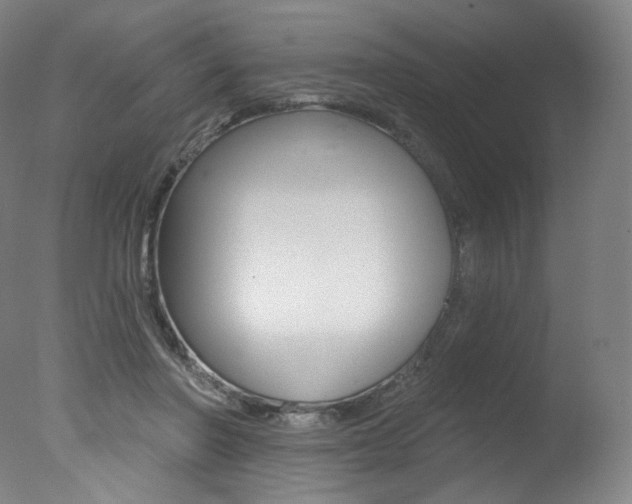 X0000078030406200610271047