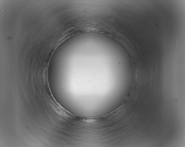 X0000078030409200610271047