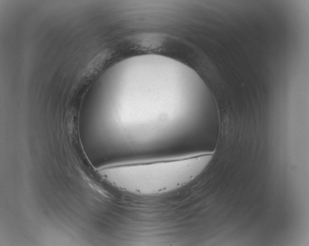 X0000078030412200610271047