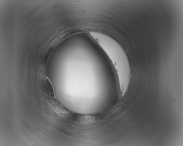 X0000078030421200610271047