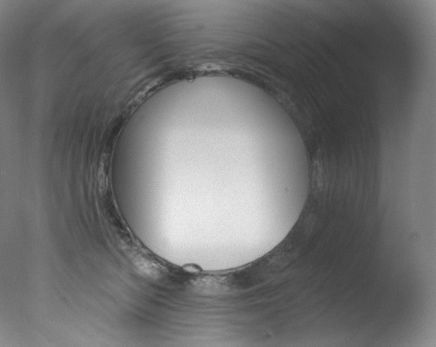 X0000078030422200610271047