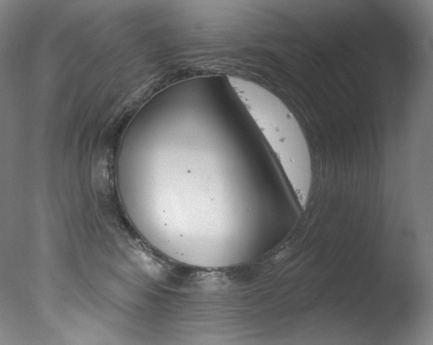 X0000078030424200610271047