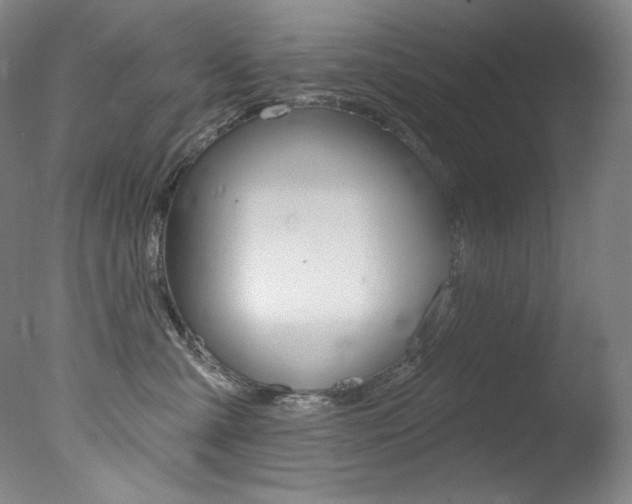 X0000078030427200610271047