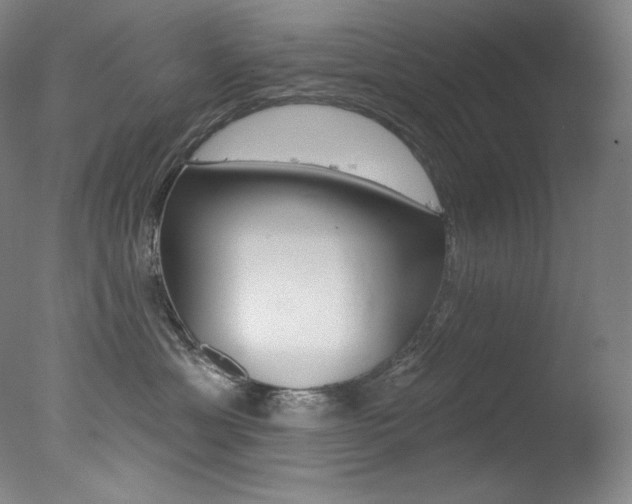 X0000078030429200610271047