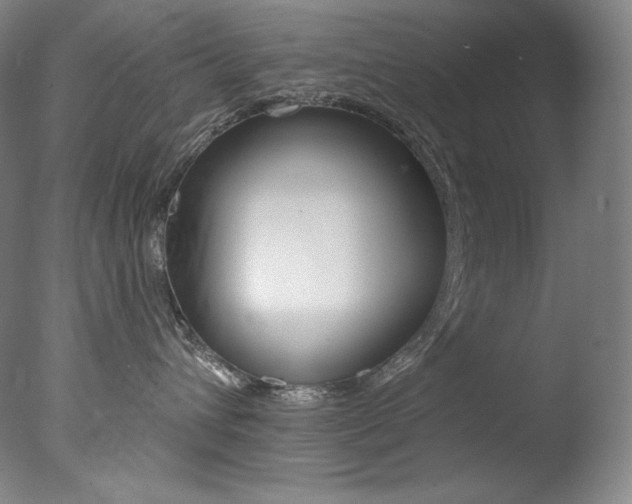 X0000078030432200610271047