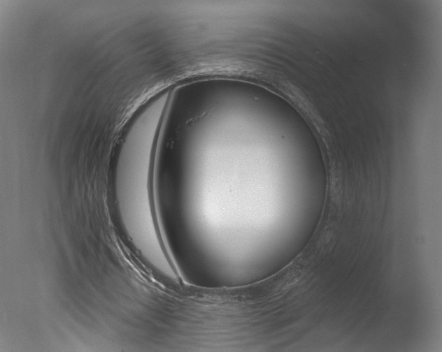 X0000078030434200610271046