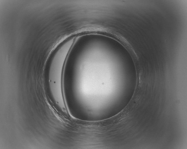 X0000078030436200610271046