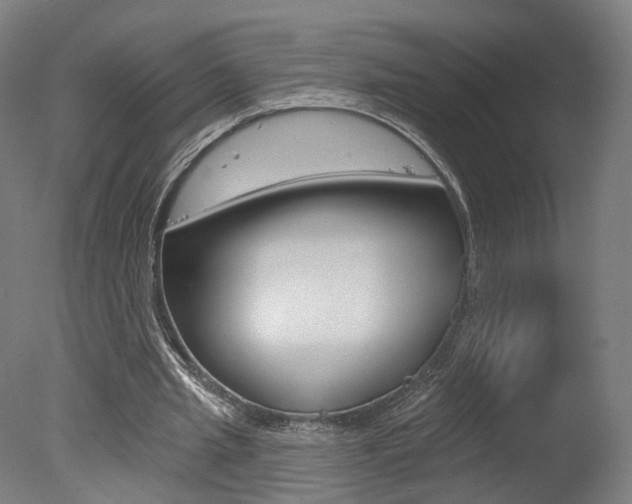 X0000078030437200610271046