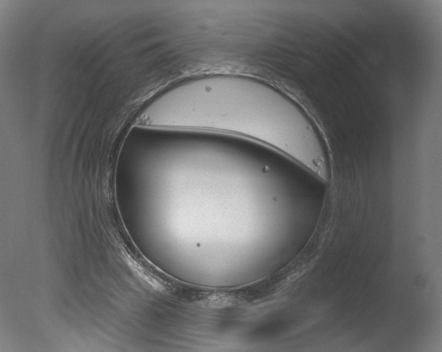 X0000078030441200610271046