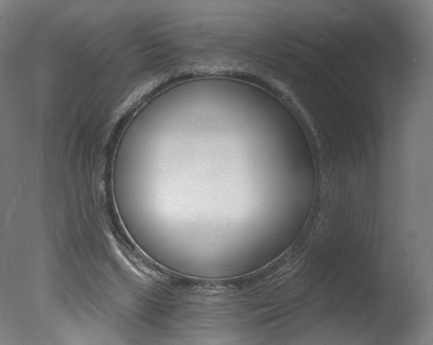 X0000078030443200610271046