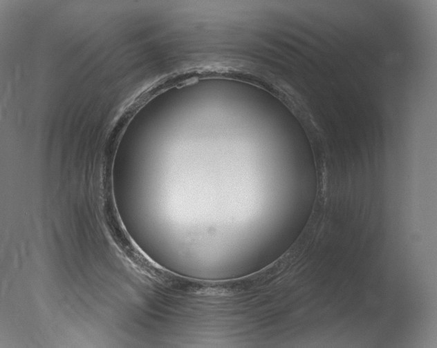 X0000078030444200610271046