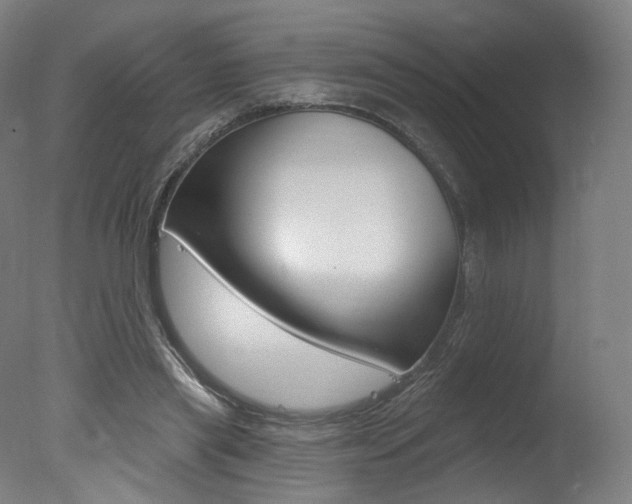 X0000078030445200610271046
