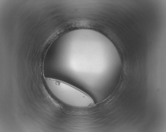 X0000078030449200610271046