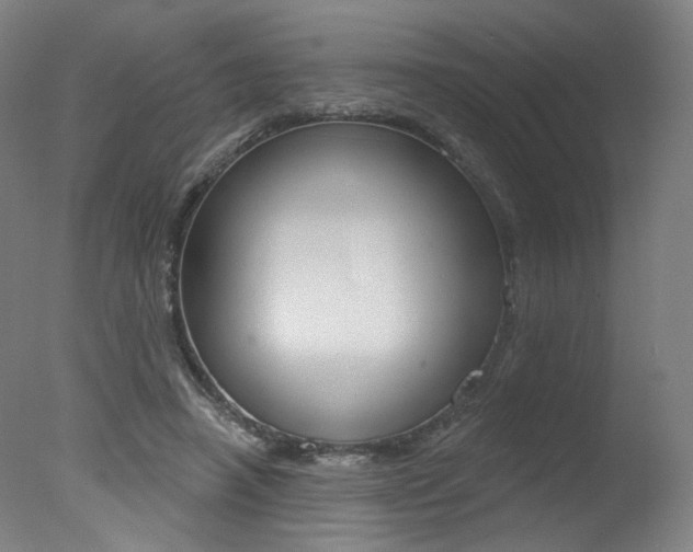 X0000078030450200610271046