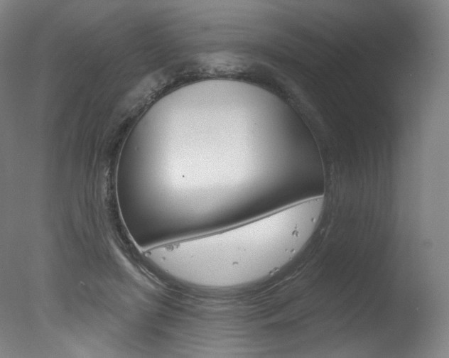 X0000078030451200610271046