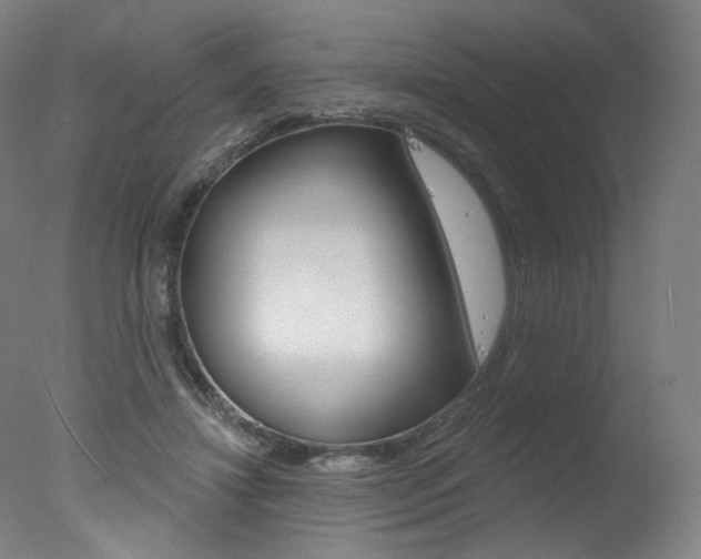 X0000078030452200610271046