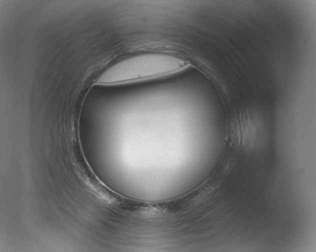 X0000078030453200610271046