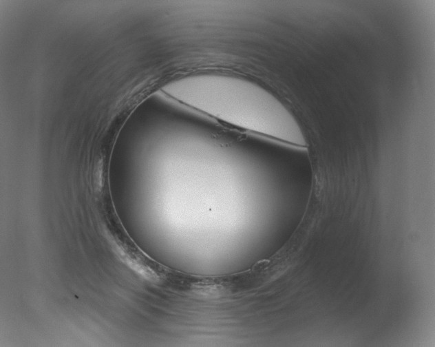 X0000078030454200610271046
