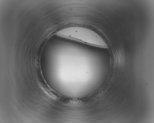 X0000078030455200610271046