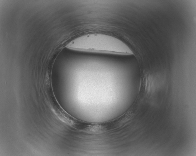 X0000078030459200610271046