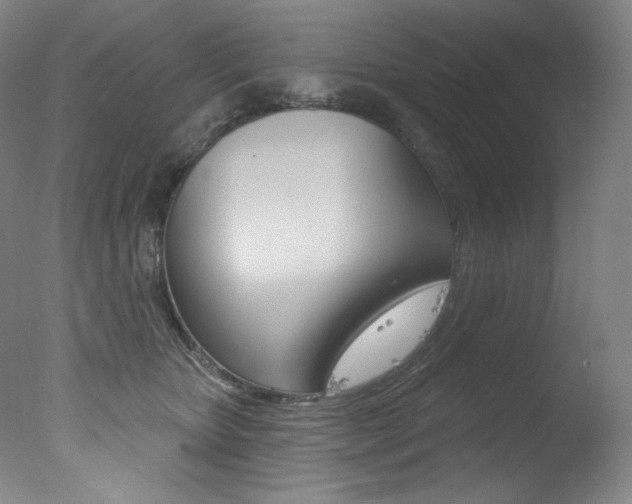 X0000078030467200610271047