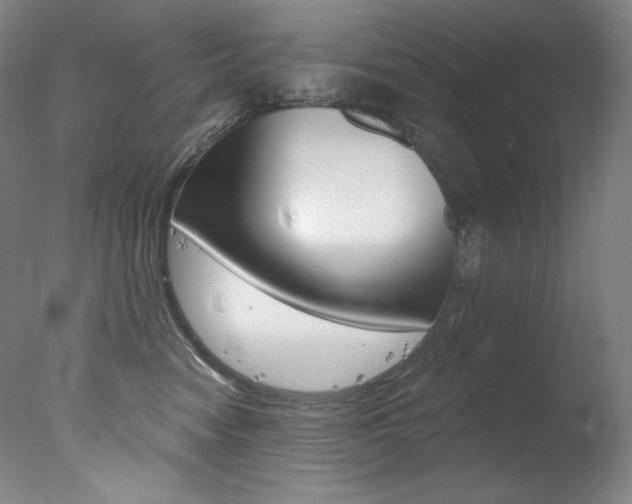 X0000078030474200610271047