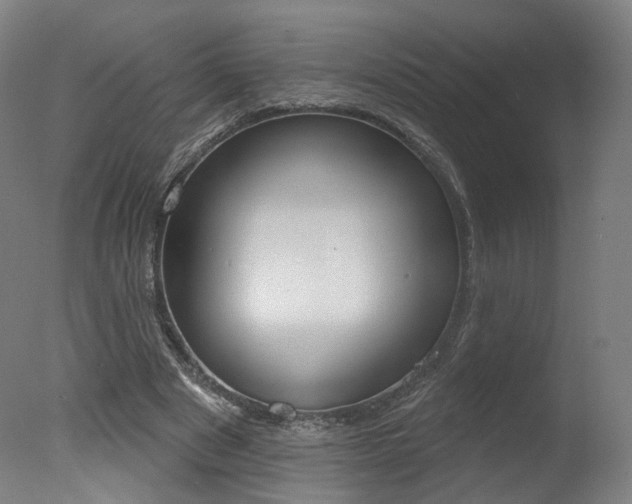 X0000078030489200610271046