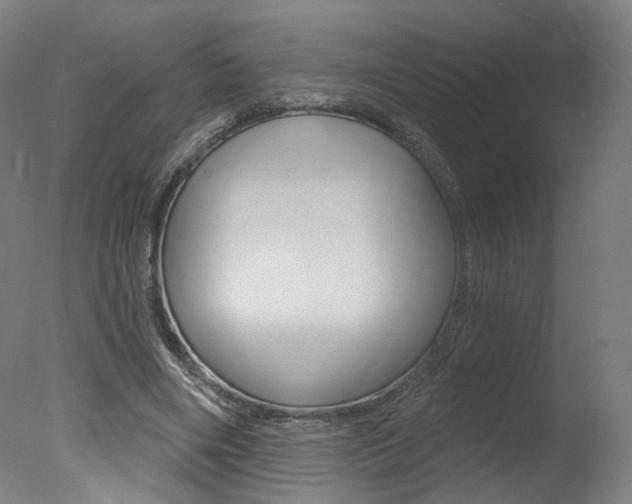X0000078030490200610271046