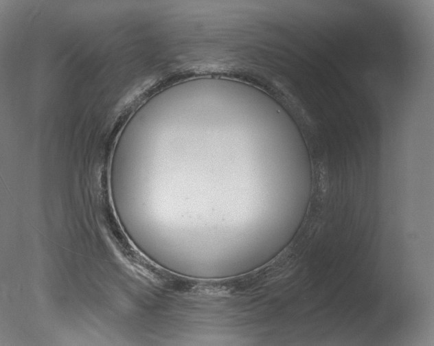 X0000078030491200610271046