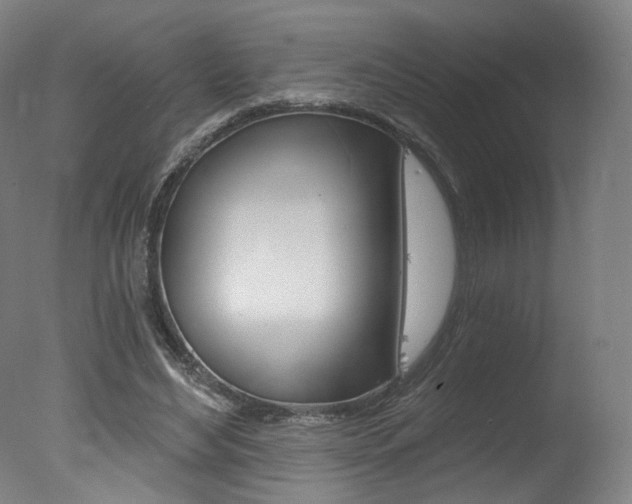 X0000078030492200610271046