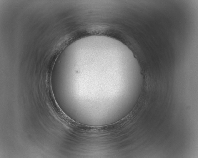 X0000078030498200610271046